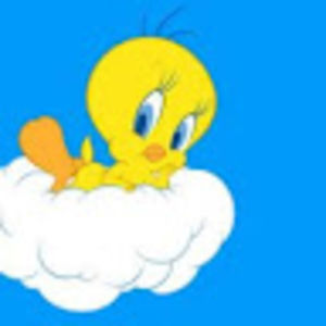 Meet your Posher, Celeste